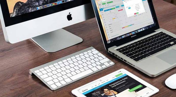 This watermelon I bought on a whim is pretty good, but I can definitely imagine a better one.